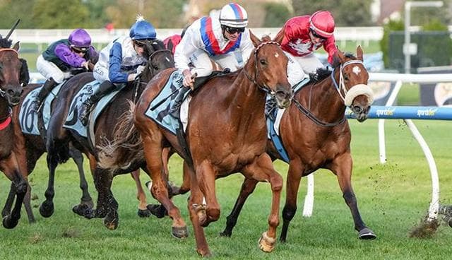 McDonald aims up with gem 2YO pair