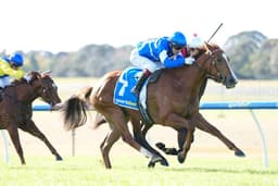 Picture of the author