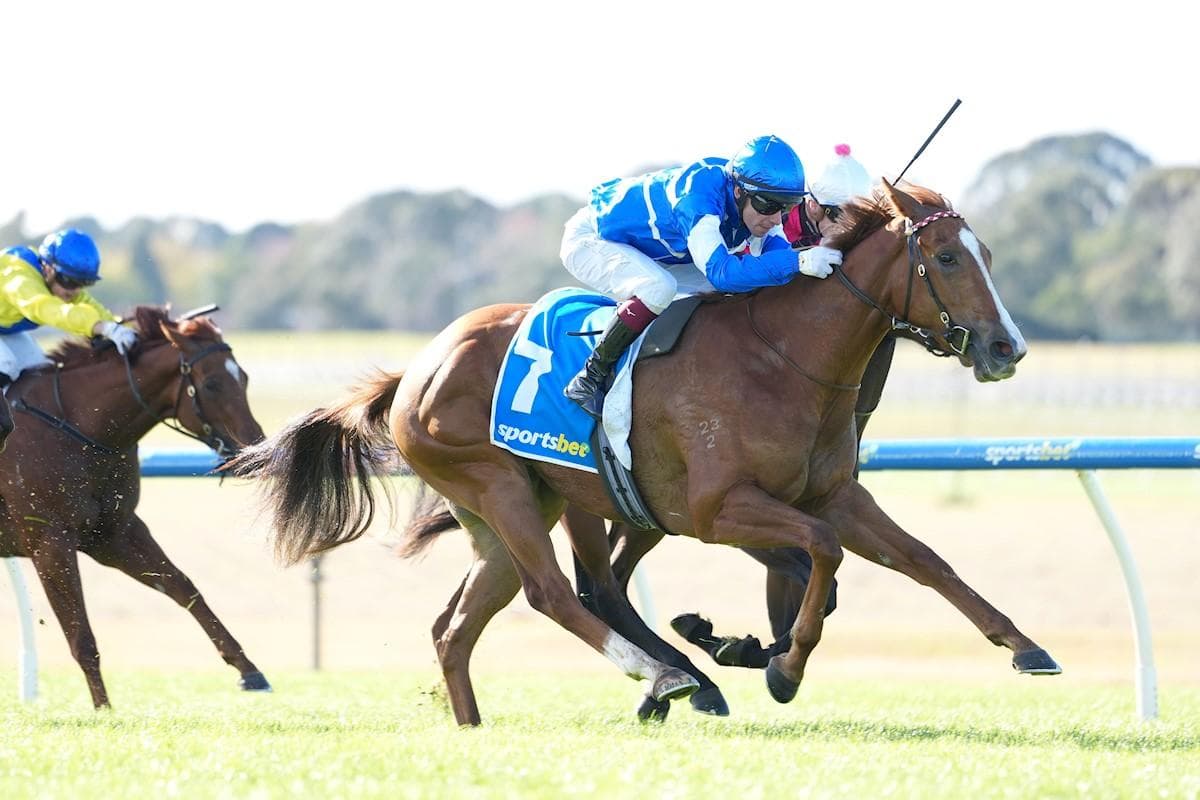 Picture of the author