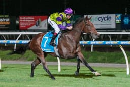 Picture of the author