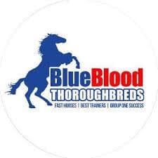 Frankel x Quantum Mechanic 24